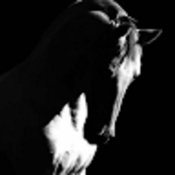 Meet your Posher, Monica - Picture 1 of 1